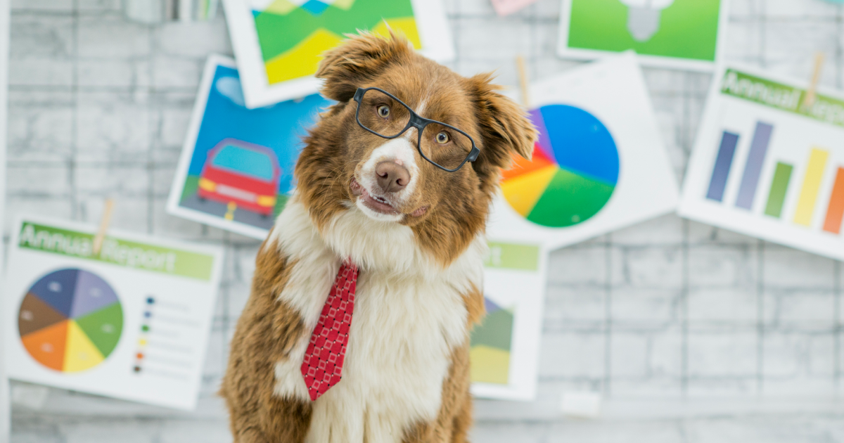 The Future of Pet Supply Stores in Portland