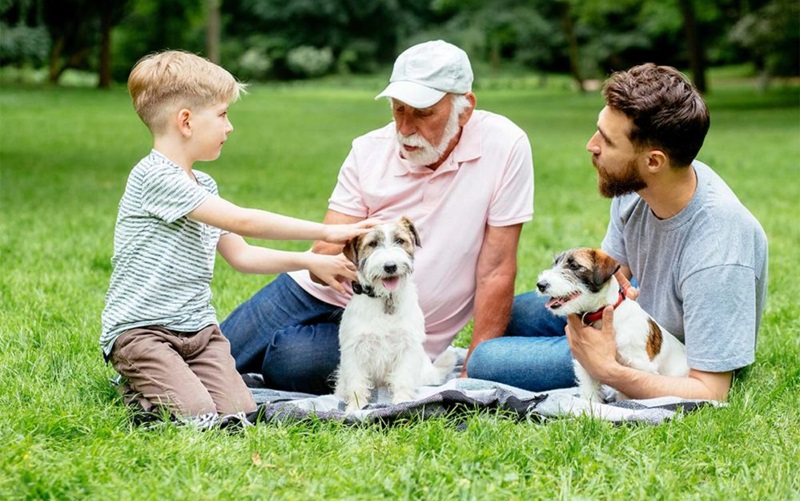 The Generational Divide: Understanding Pet Ownership by Age Group