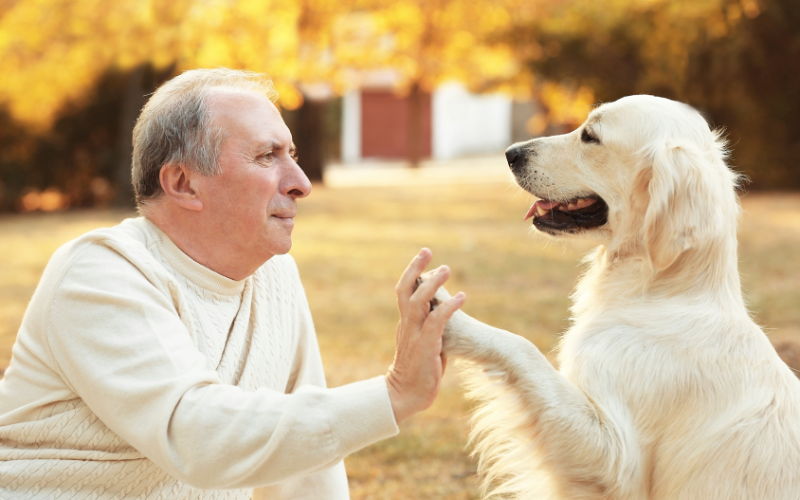 The Stress-Relief Benefits of Pets