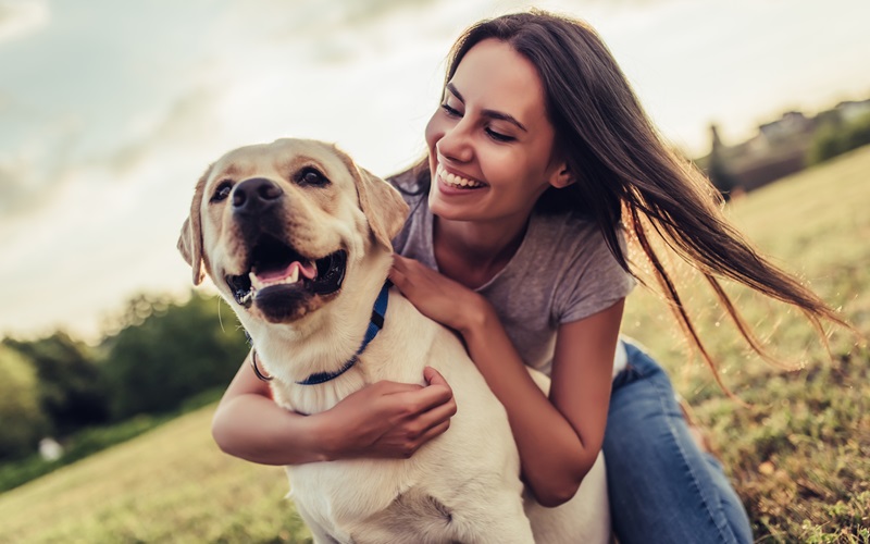 The Ultimate Guide for Pet Owners Tips, Tricks, and Essential Information