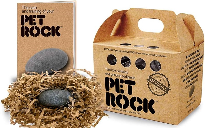 The Ultimate Pet Rock Owner's Manual: Tips and Tricks for Your Stony Companion