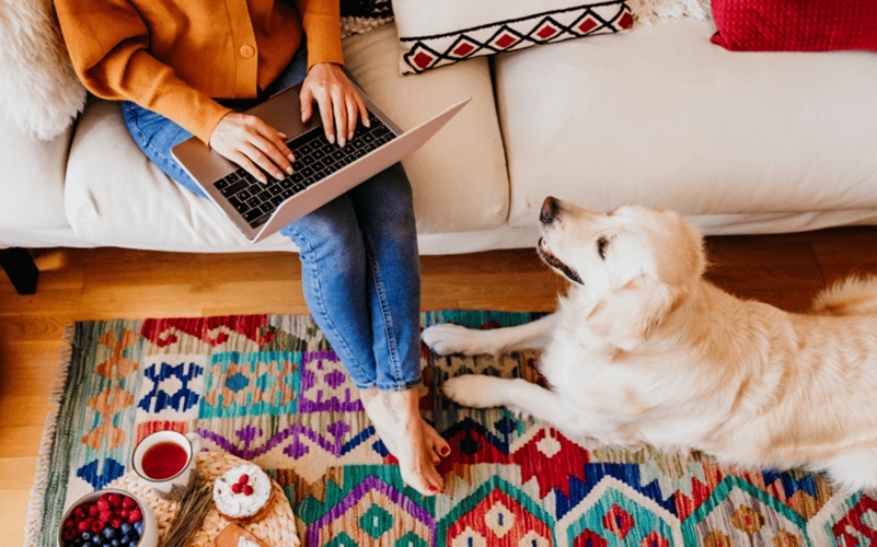 Time-Saving Hacks for Busy Pet Owners