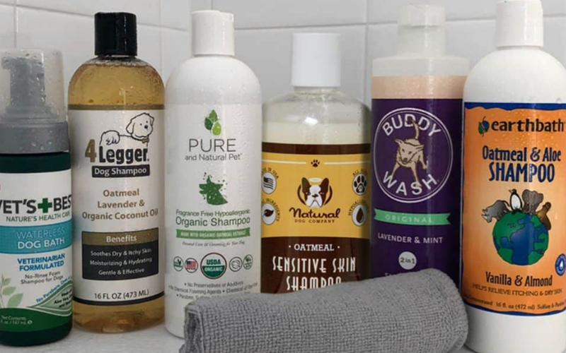 Top 10 Dog Shampoos for Itchy Skin: Soothe Your Pup's Discomfort