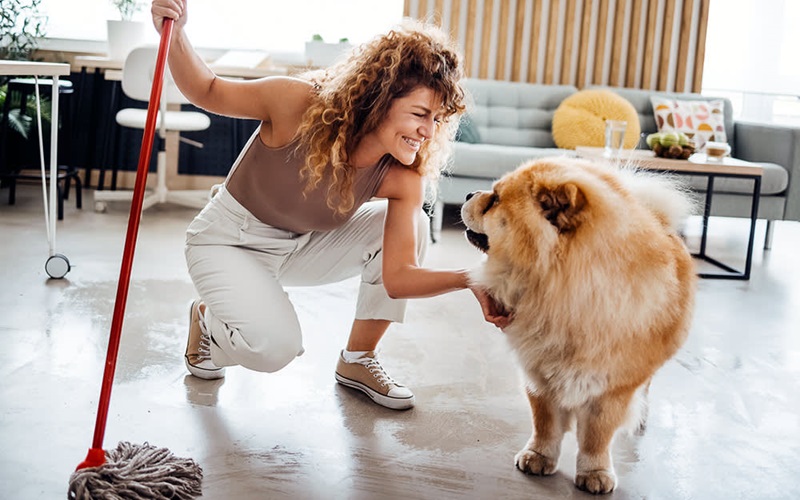 Top 10 Pet-Safe Floor Cleaners for a Sparkling, Pet-Friendly Home