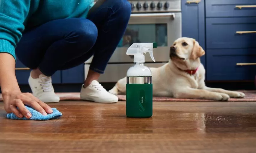 Top 10 Pet-Safe Floor Cleaners