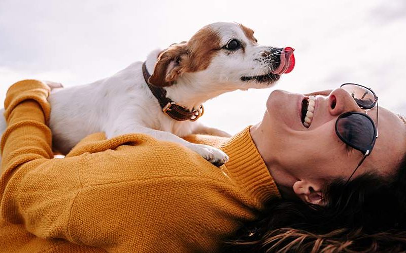 Top Desires of Pet Owners What They Really Want for Their Furry Friends