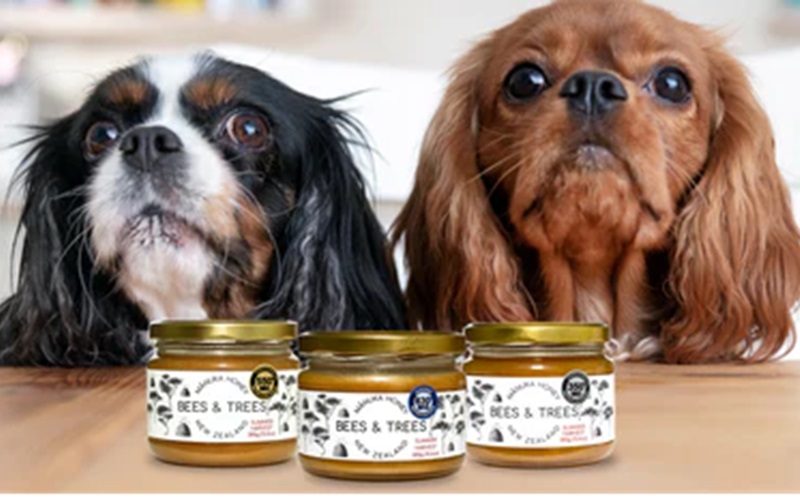 Top Places to Buy Manuka Honey for Dogs: Ensure Quality and Safety