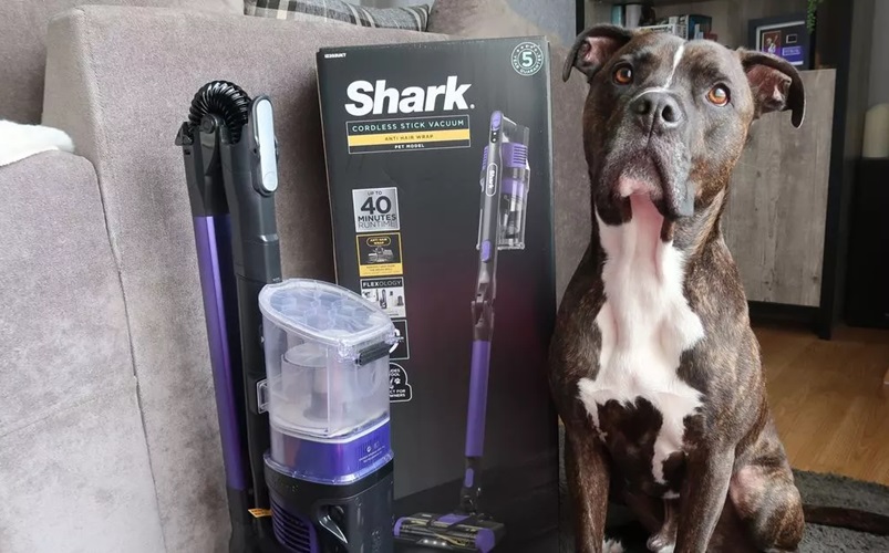 Top Reasons Why Shark Vacuums Are a Pet Owner’s Best Friend