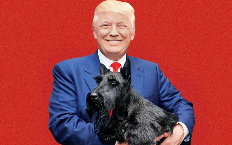 Trump's Controversial Comments on Pet Owners