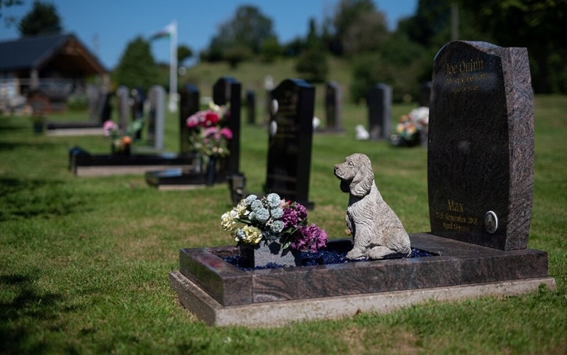 UK Pet Owners Face Grim Choices Amid Soaring Costs