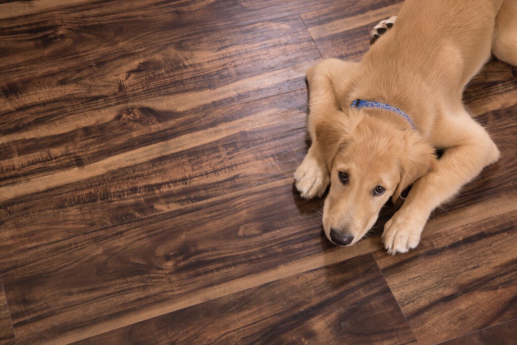 Vinyl Flooring