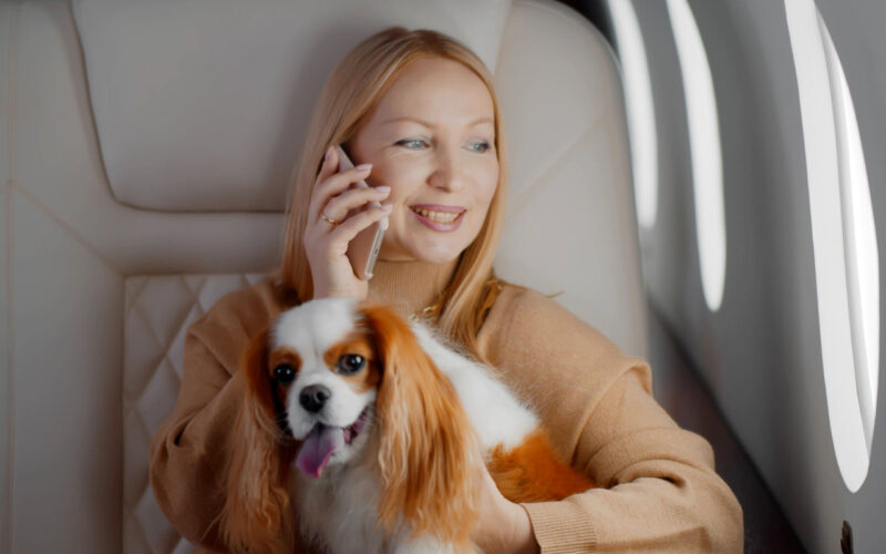 Why Pet Owners Are Turning to Private Jets to Fly Their Furry Friends