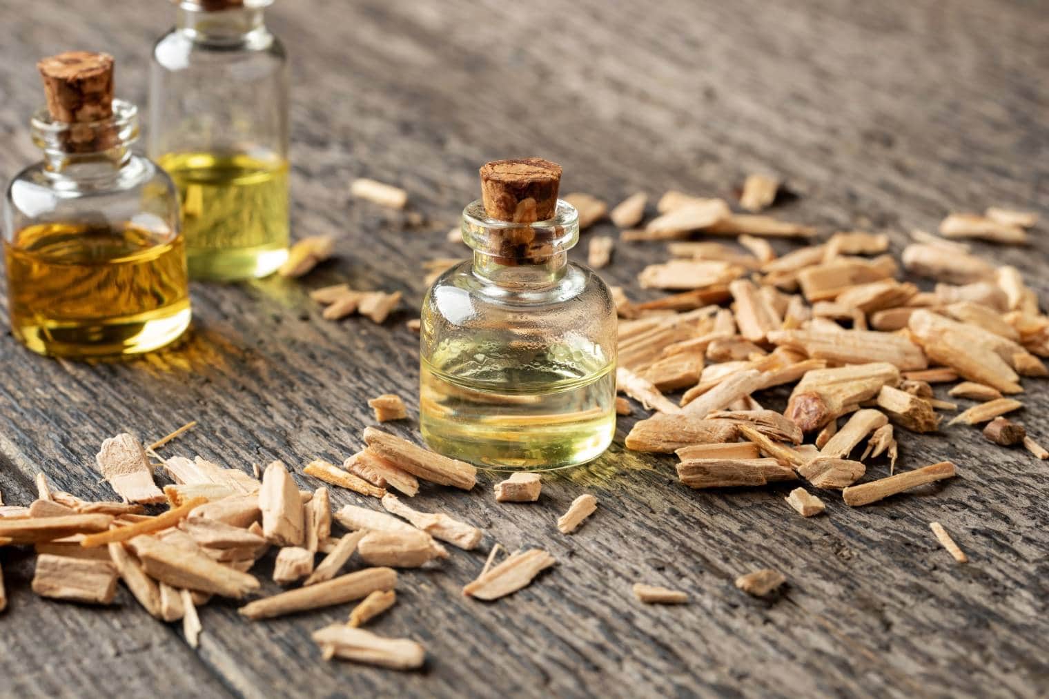 Benefits of Cedar Tree Oil for Fleas