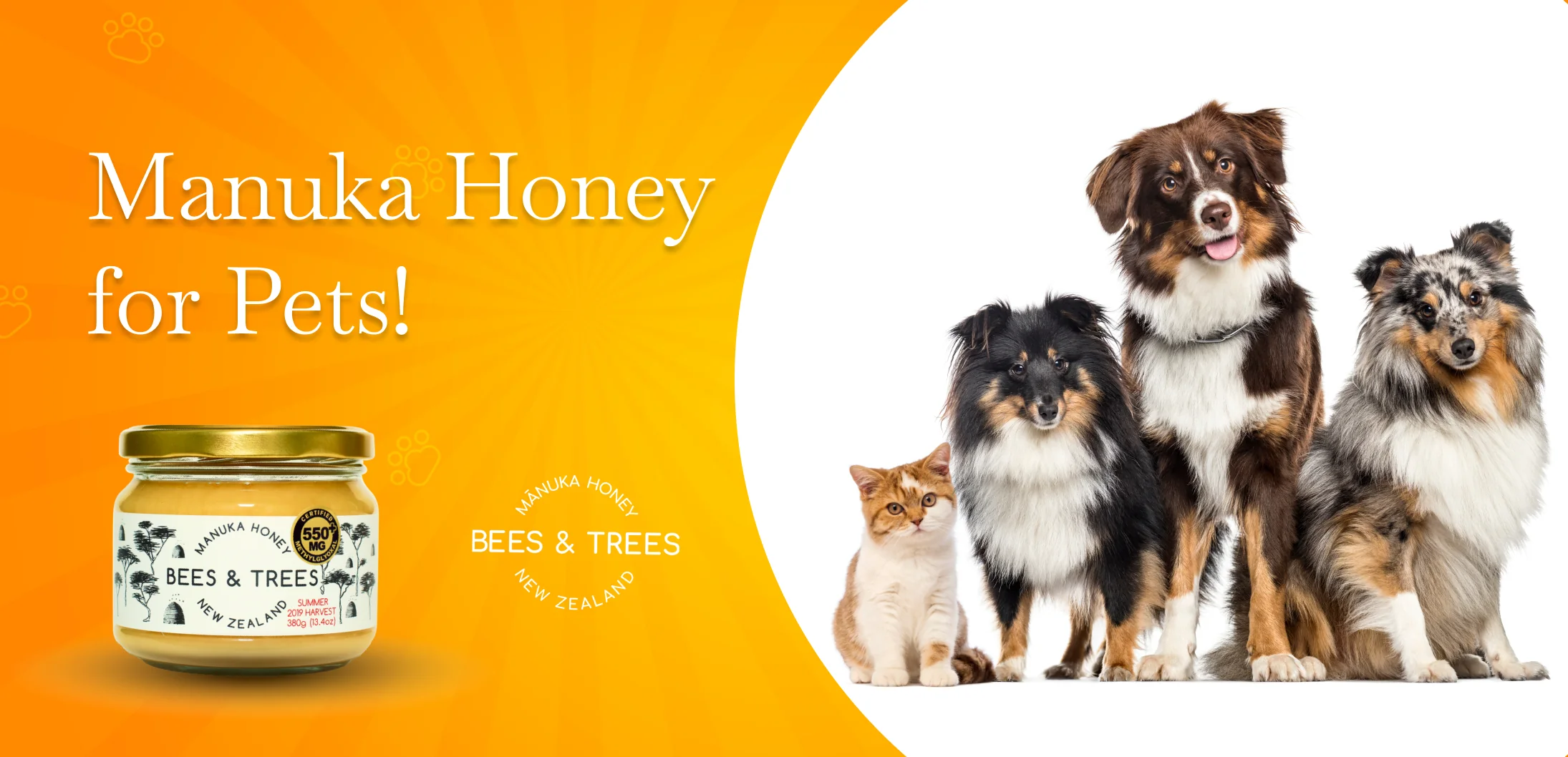 Benefits of Manuka Honey on Dogs