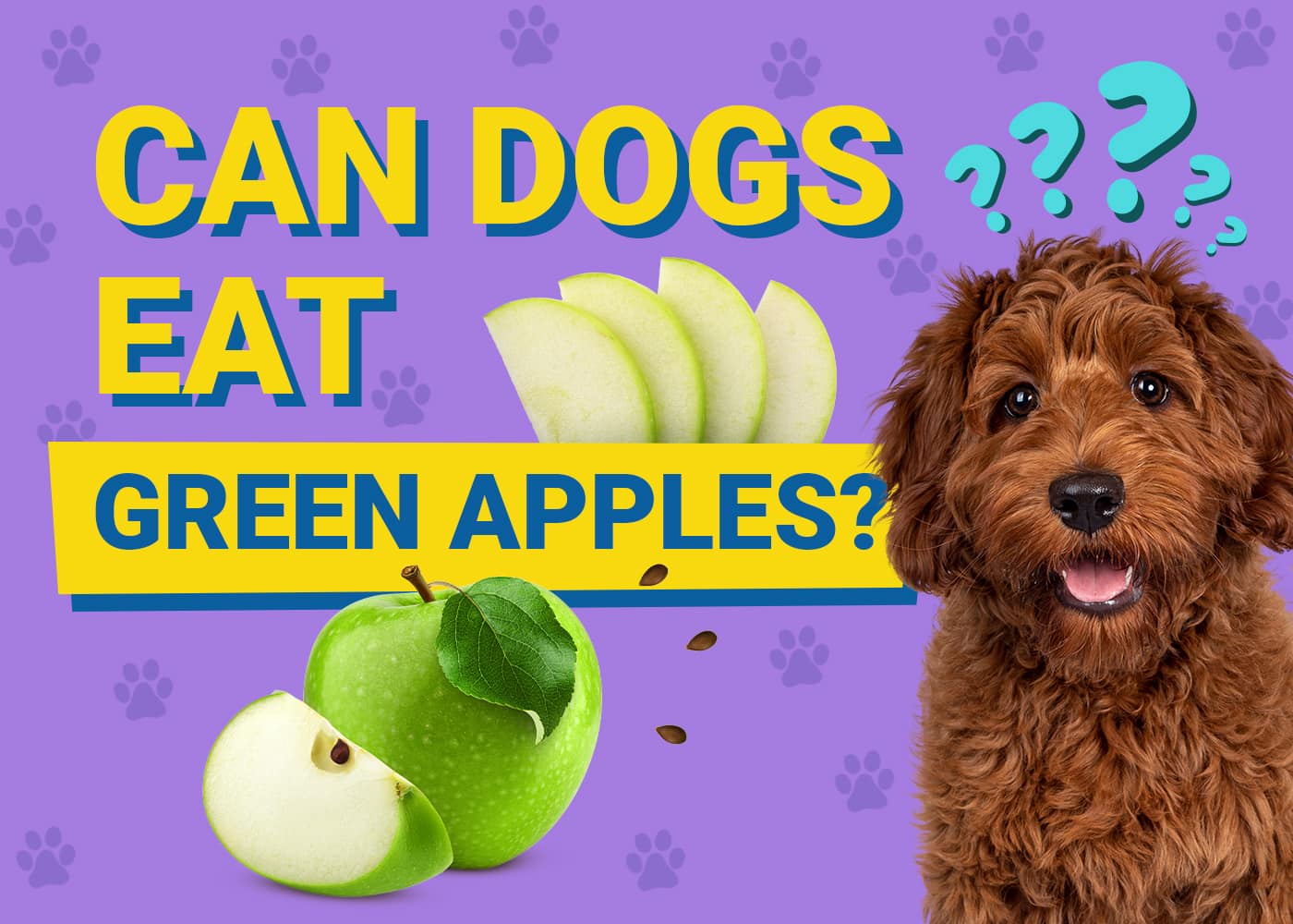 Signs Your Dog Enjoys Green Apples