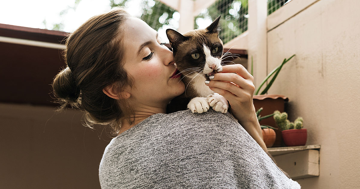 The Bond Between You and Your Persian Cat