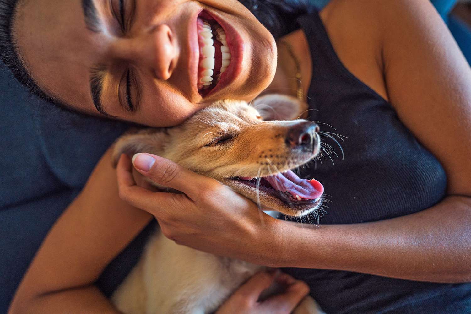 The Bond Between You and Your Pet