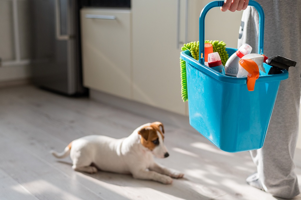 Tips for Maintaining a Fresh Home with Pets