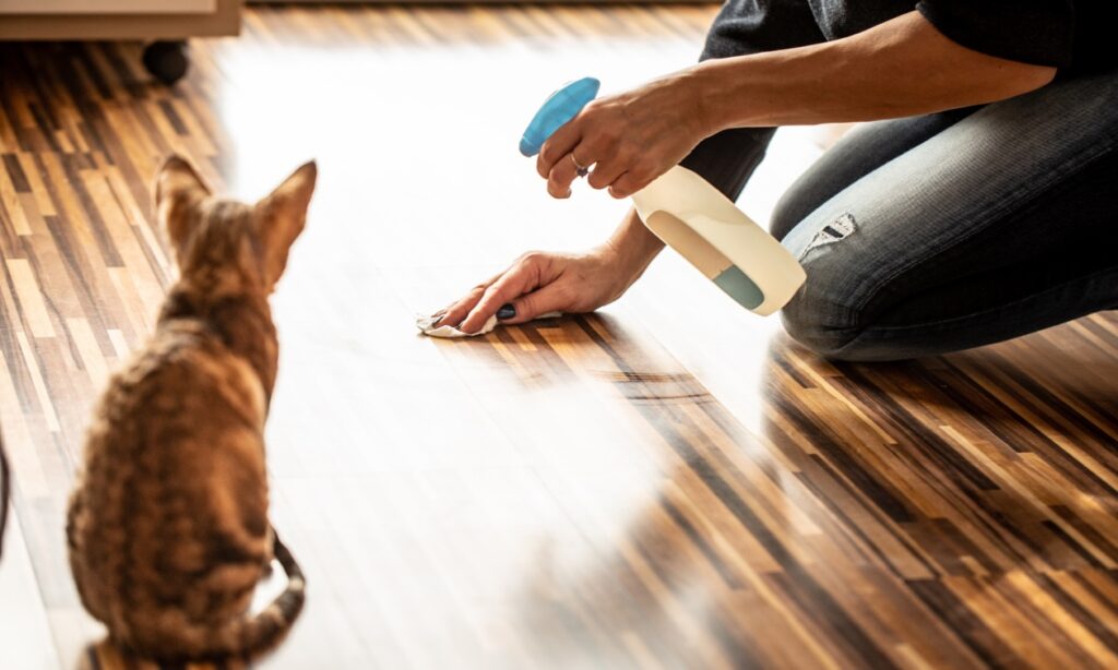 Top 10 Pet Safe Disinfectant Sprays to Keep Your Home Germ-Free